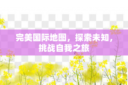 完美国际地图图片