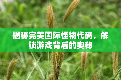 揭秘完美国际怪物代码图片