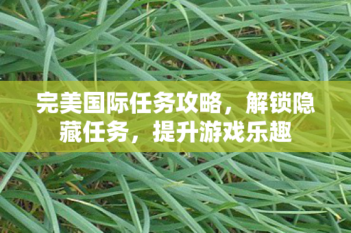 完美国际任务攻略图片