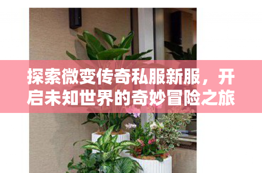 开启未知世界的奇妙冒险之旅图片