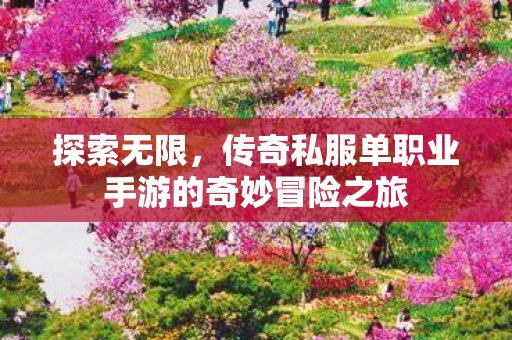 传奇私服单职业手游的奇妙冒险之旅图片