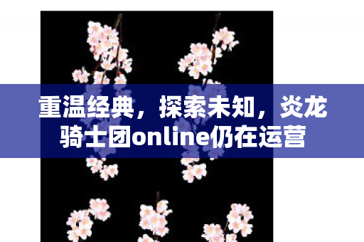 炎龙骑士团online仍在运营图片
