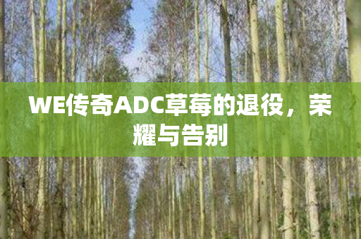 WE传奇ADC草莓的退役图片