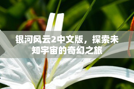 探索未知宇宙的奇幻之旅图片