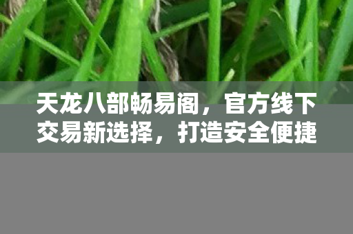 打造安全便捷的游戏交易体验图片