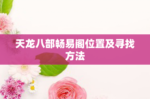 天龙八部畅易阁位置及寻找方法图片