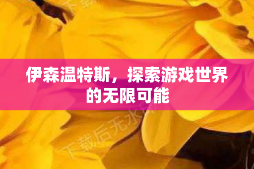 伊森温特斯,探索游戏世界的无限可能 伊森温特斯,探索游戏世界的无限可能