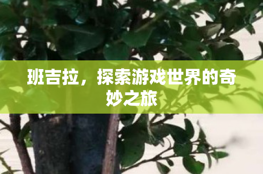 探索游戏世界的奇妙之旅图片