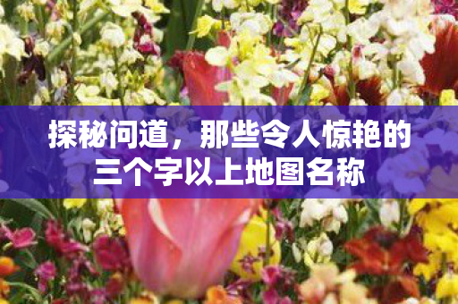 那些令人惊艳的三个字以上地图名称图片