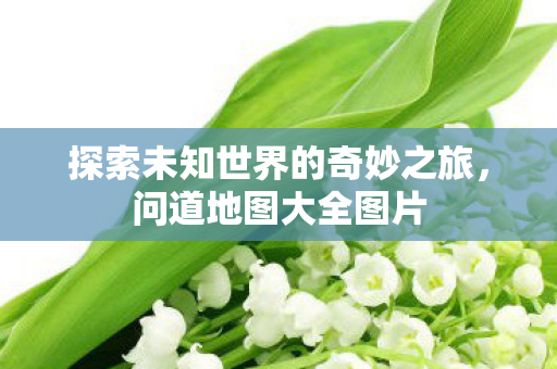 探索未知世界的奇妙之旅图片