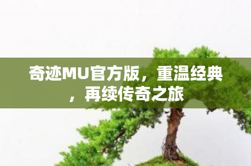奇迹MU官方版,重温经典,再续传奇之旅 奇迹MU官方版,重温经典,再续传奇之旅