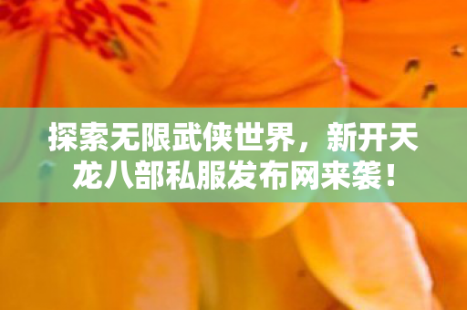 探索无限武侠世界，新开天龙八部私服发布网来袭！