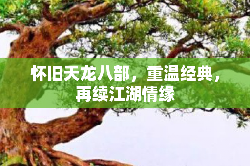 怀旧天龙八部图片