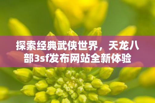 天龙八部3sf发布网站全新体验图片