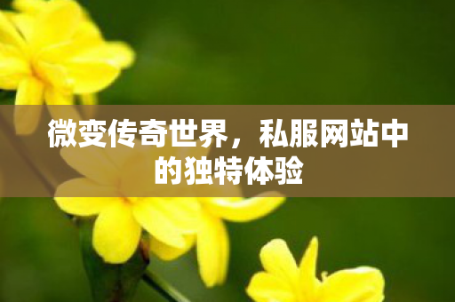 私服网站中的独特体验图片