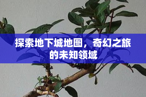 奇幻之旅的未知领域图片