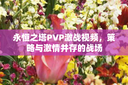 永恒之塔PVP激战视频图片