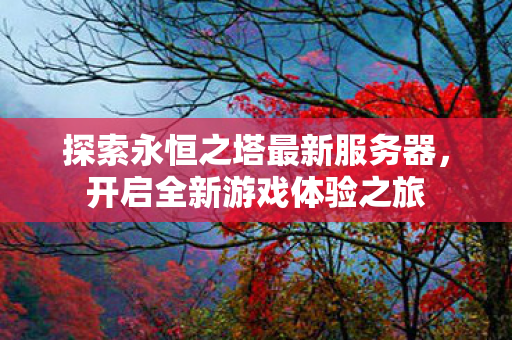探索永恒之塔最新服务器图片