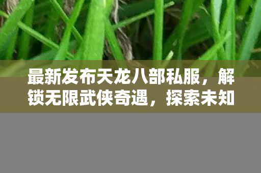 最新发布天龙八部私服图片