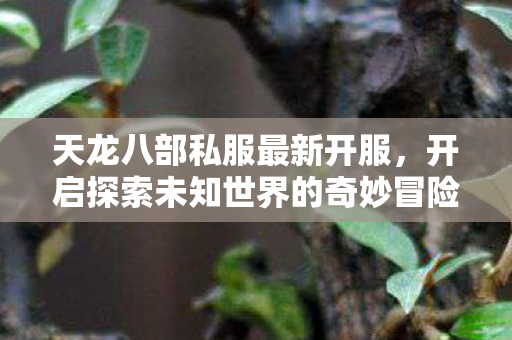 开启探索未知世界的奇妙冒险之旅图片