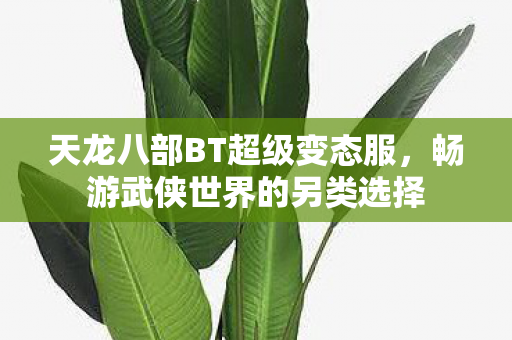 天龙八部BT超级变态服,畅游武侠世界的另类选择 天龙八部BT超级变态服,畅游武侠世界的另类选择