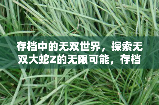 存档中的无双世界,探索无双大蛇Z的无限可能,存档中的无双世界,探索无双大蛇Z的无限可能 存档中的无双世界,探索无双大蛇Z的无限可能,存档中的无双世界,探索无双大蛇Z的无限可能