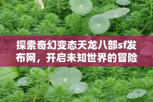 探索奇幻变态天龙八部sf发布网图片