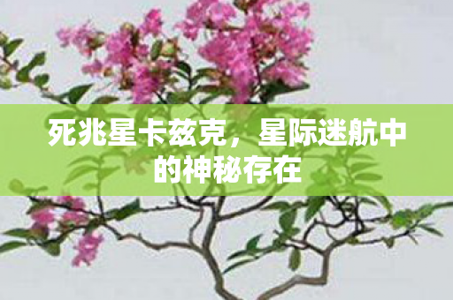 星际迷航中的神秘存在图片