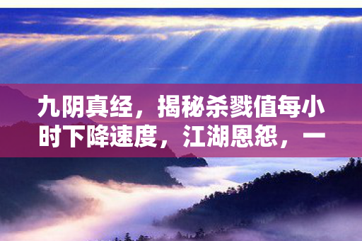 揭秘杀戮值每小时下降速度图片