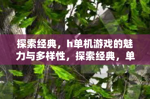 探索经典，h单机游戏的魅力与多样性，探索经典，单机游戏的魅力与多样性