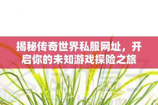 开启你的未知游戏探险之旅图片