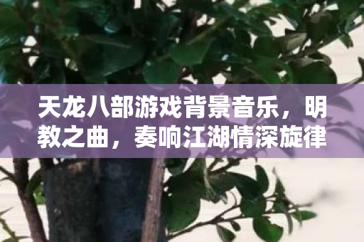 天龙八部游戏背景音乐图片