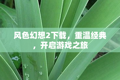 风色幻想2下载图片