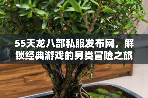 55天龙八部私服发布网,解锁经典游戏的另类冒险之旅 55天龙八部私服发布网,解锁经典游戏的另类冒险之旅