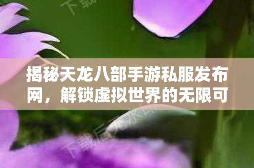 揭秘天龙八部手游私服发布网图片