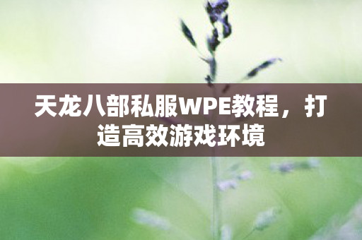 天龙八部私服WPE教程图片