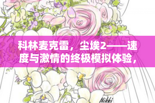 速度与激情的终极模拟体验图片