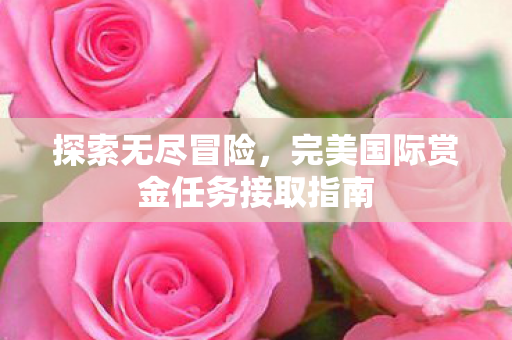 完美国际赏金任务接取指南图片