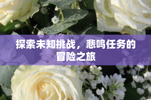 悲鸣任务的冒险之旅图片