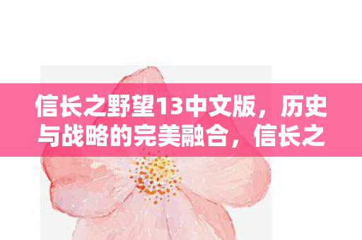 信长之野望13中文版图片