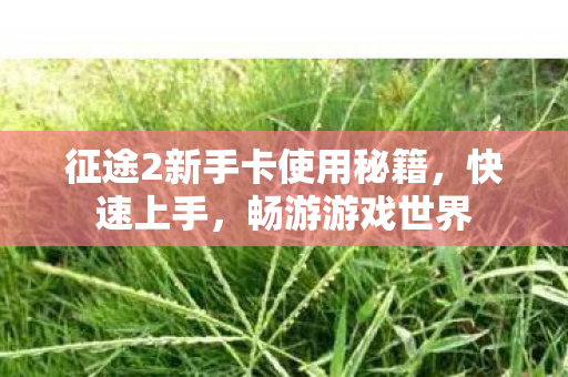 征途2新手卡使用秘籍图片