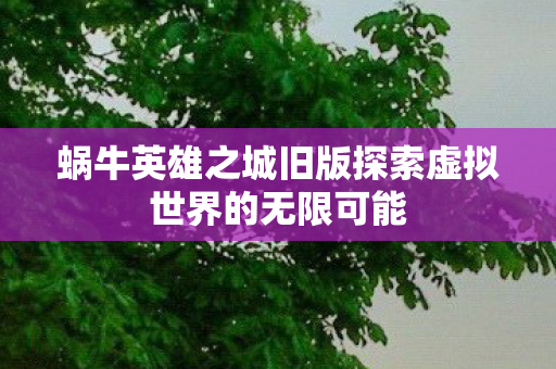 蜗牛英雄之城旧版探索虚拟世界的无限可能图片