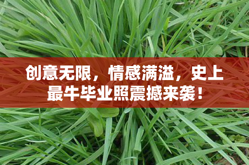 史上最牛毕业照震撼来袭图片