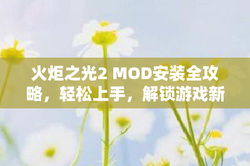 火炬之光2 MOD安装全攻略图片