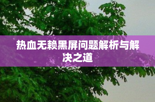 热血无赖黑屏问题解析与解决之道图片