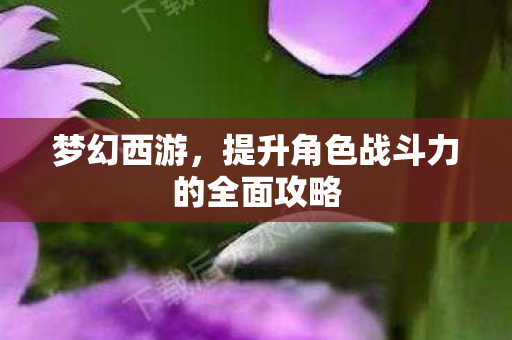 提升角色战斗力的全面攻略图片