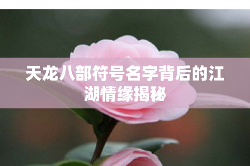 天龙八部符号名字背后的江湖情缘揭秘图片