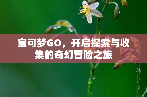 宝可梦GO,开启探索与收集的奇幻冒险之旅 宝可梦GO,开启探索与收集的奇幻冒险之旅