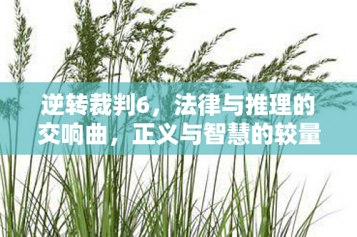 法律与推理的交响曲图片