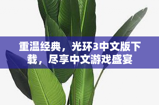 光环3中文版下载图片